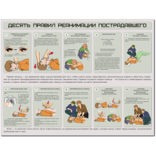 Плакат "Десять правил реанимации пострадавшего"