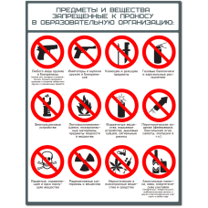 Плакат "Предметы и вещества запрещенные к проносу в образовательную организацию"