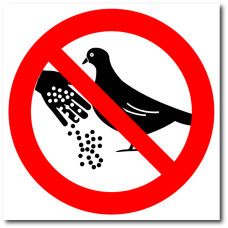 Знак "Запрещено кормить птиц"