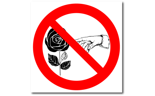 Знак "Цветы руками не трогать"